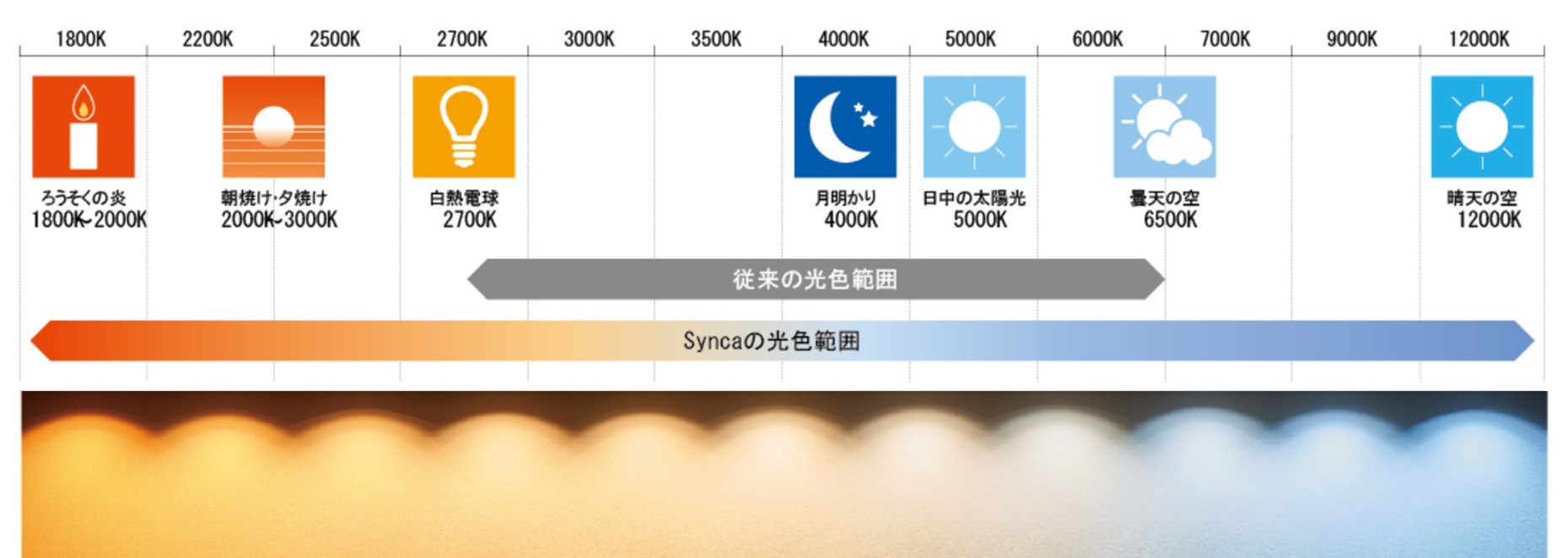 遠藤照明 ハイパワースポットライト 屋外用スポットライト ダークグレー LED Synca調色 調光 中角 SXS3034H-L 屋外照明 