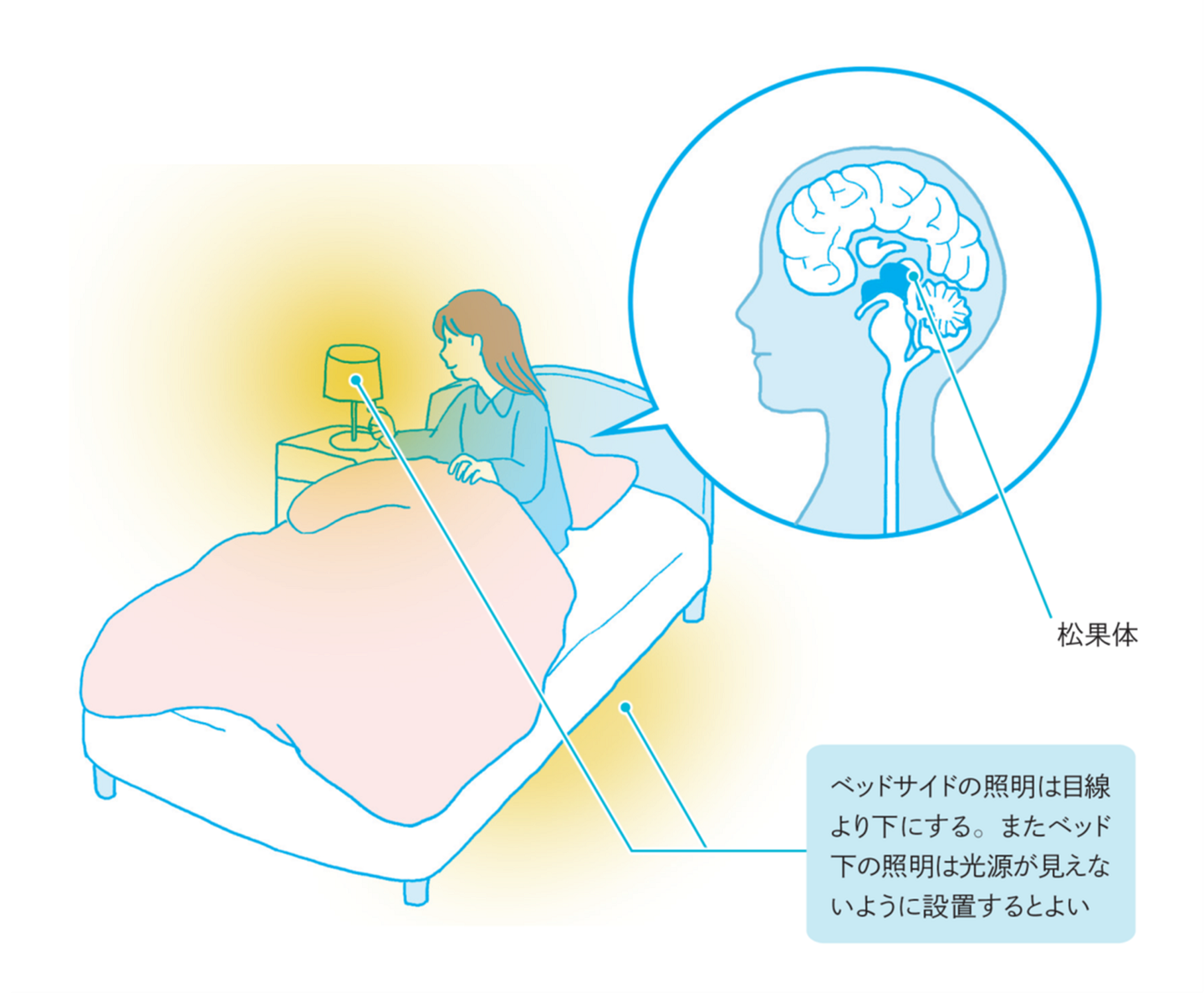 ＜眠りの質を高める光＞夜間は低色温度・低照度にする