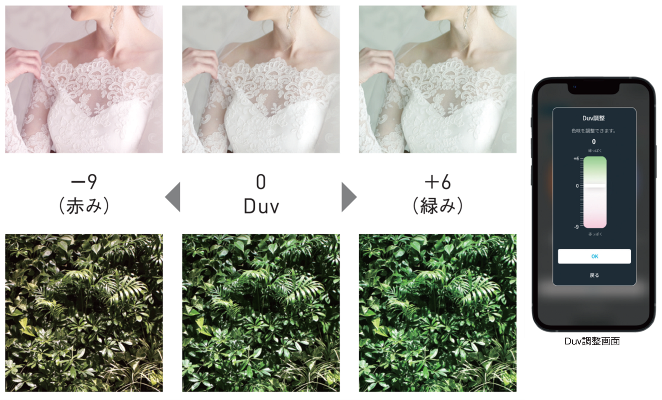 色味調整機能の例