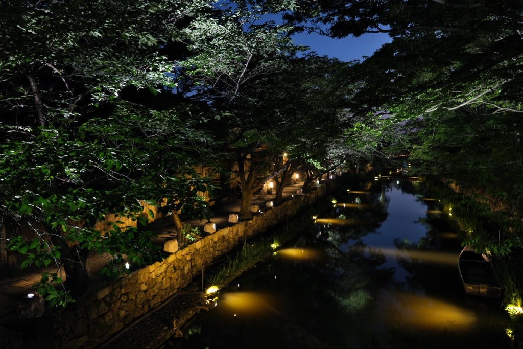 八幡堀に渡された橋から堀を見た画像。水面から石垣、木々の枝と光の層が見える。