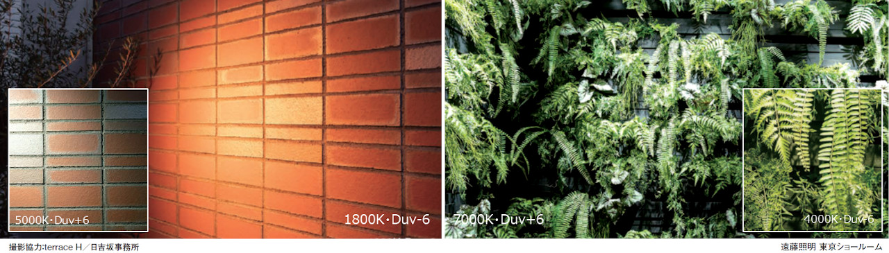 OUTDOOR Synca（アウトドア Synca）であれば、外壁素材や植栽に最適な光を追求することが可能