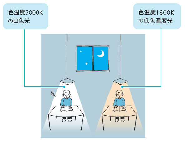 夜間の読書や勉強は低色温度の光で