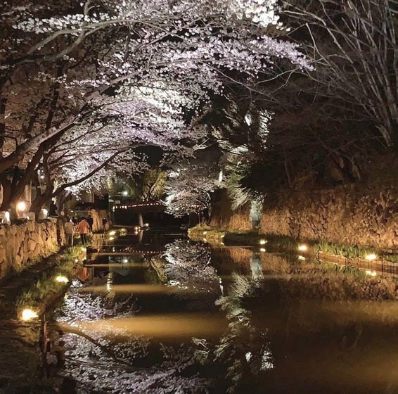 最適な光を選択し、八幡堀の水辺を美しく照らし出す。