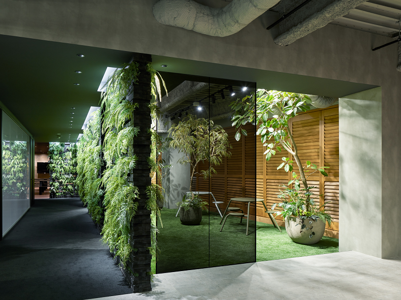 観葉植物がオフィスでも育つ照明とは？ バイオフィリックデザインに必須の光環境に迫る