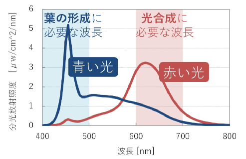 植物の生育に必要な波長