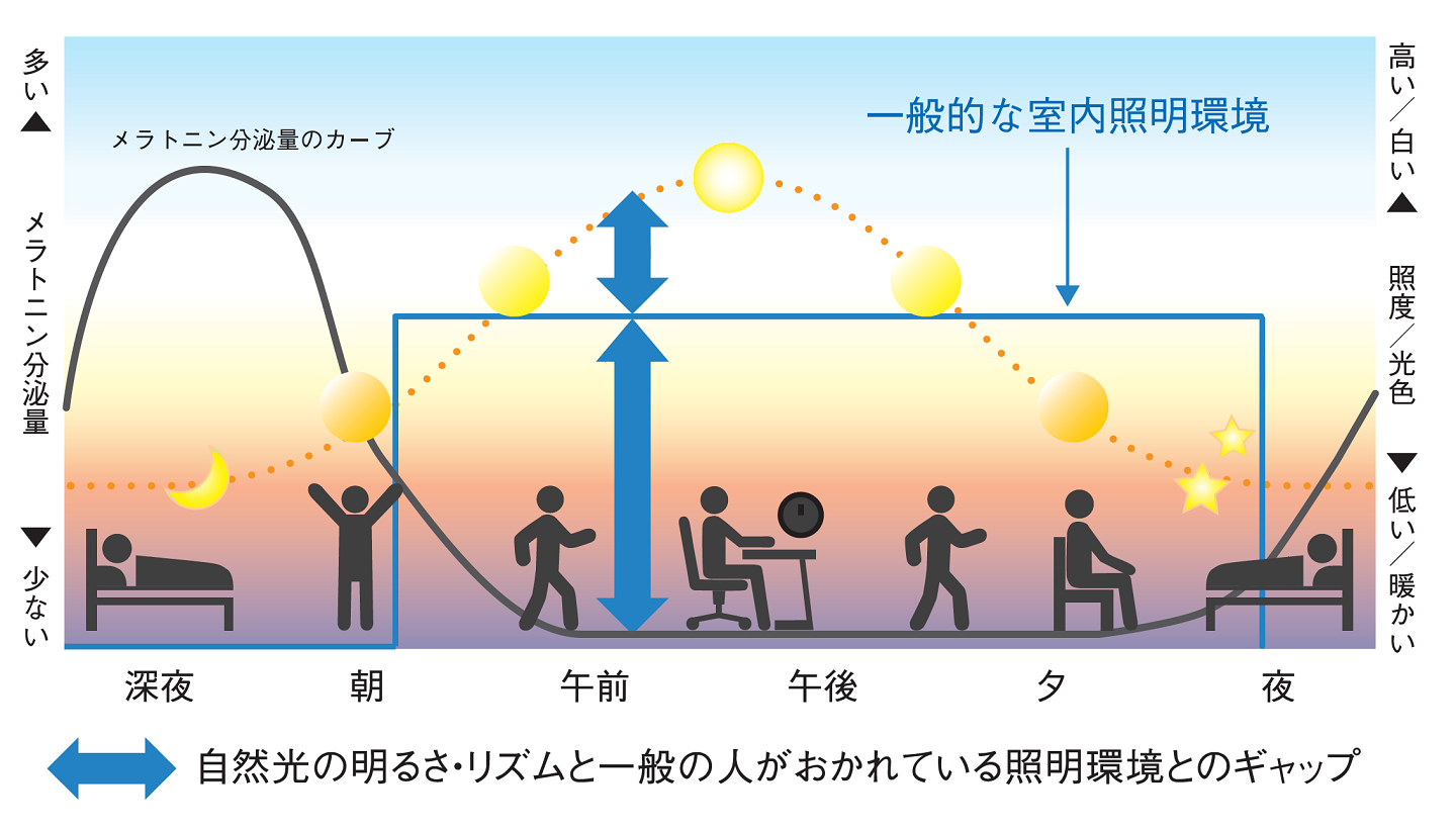 体内リズム（サーカディアンリズム）と光の関係