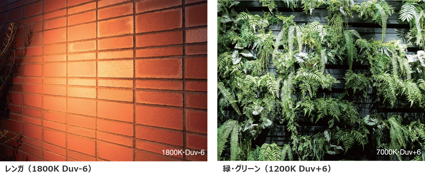 素材に合った色温度を照射