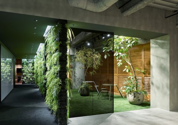 観葉植物がオフィスでも育つ照明とは？ バイオフィリックデザインに必須の光環境に迫る