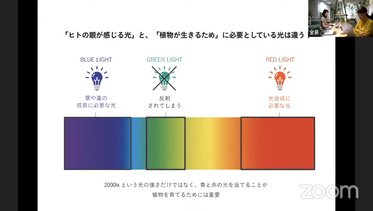 植物を育む光 画像