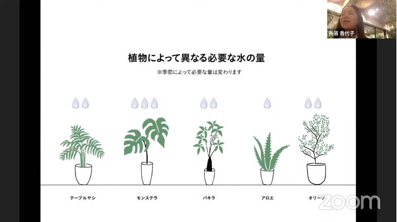 植物を維持するための必要なこと 画像