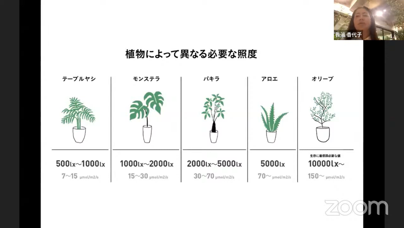 植物を維持するための必要なこと 画像