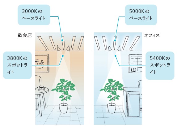 色温度を少し高くして植物に当てると良い