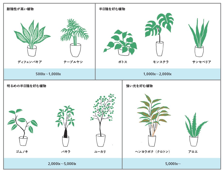 おすすめの照度