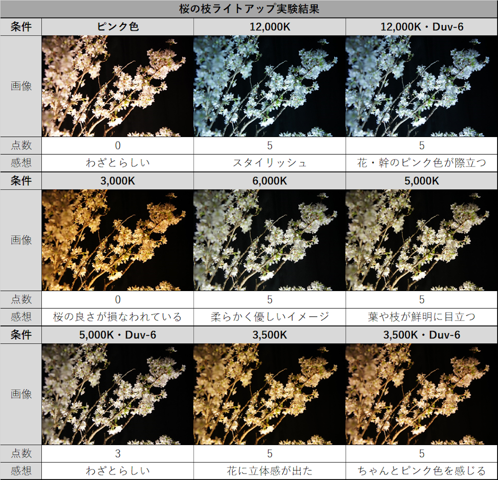 桜ライトアップ実験結果