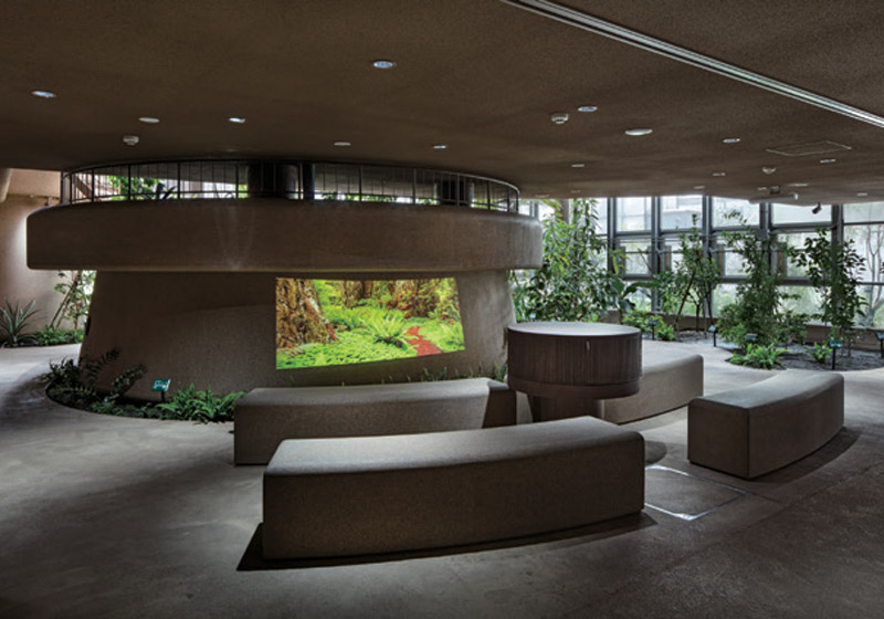 渋谷区ふれあい植物センター_２階展示室2：自然光があまり差し込まない場所もあり、『Synca』により植物に補光されている