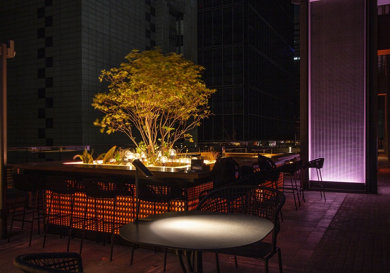 皇居側　イベント ピンク系時：イベント時は、イベント内容にあわせ、青系・赤系・ピンク系・イエロー系と同じくリモコンで変更している。