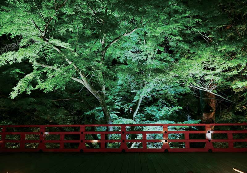 北野天満宮史跡御土居のもみじ苑_青もみじの公開（4月中旬～6月下旬）_2