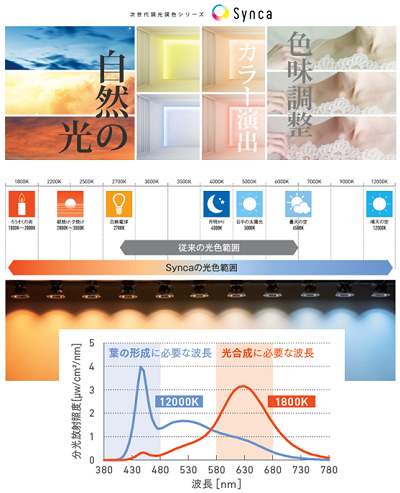 次世代調光調色『Synca』