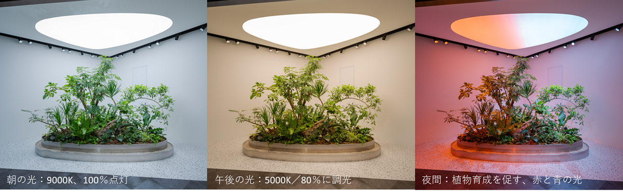 Synca Green System 使用イメージ
