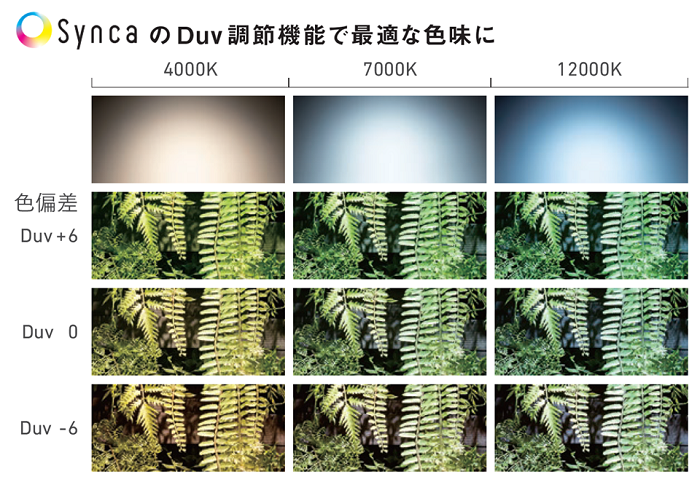 次世代調光調色『Synca』で”緑み”を追加して、フェイクグリーンを本物っぽく見せる