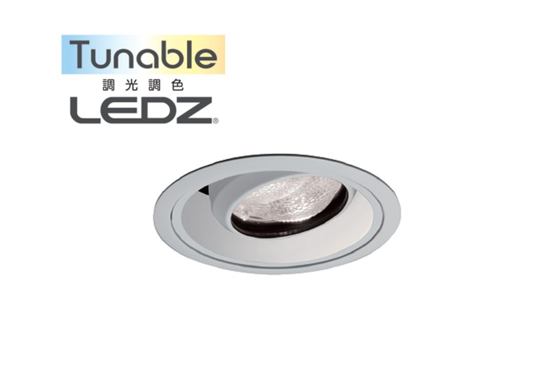 Twin Beam スポットライト【Tunable LEDZ】