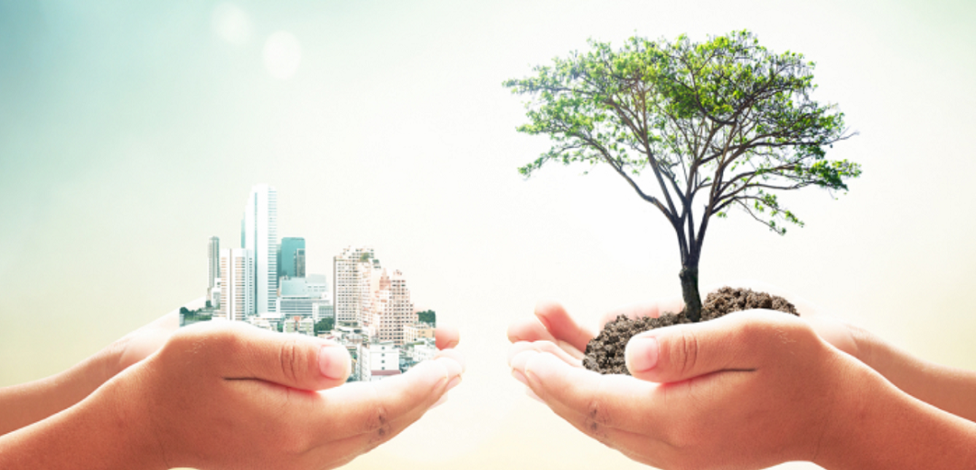 サステナビリティ