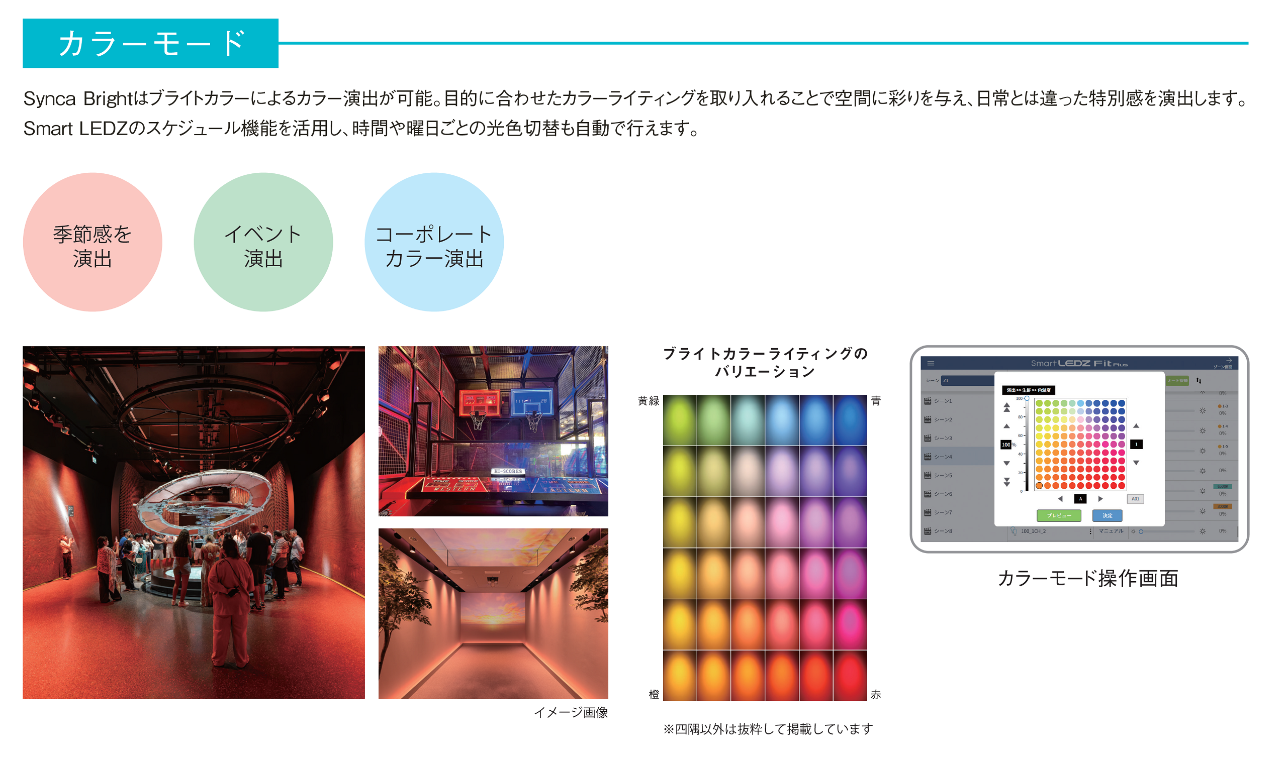 カラーモード：Synca Brightはブライトカラーによるカラー演出が可能。目的に合わせたカラーライティングを取り入れることで空間に彩りを与え、日常とは違った特別感を演出します。Smart LEDZのスケジュール機能を活用し、時間や曜日ごとの光色切替も自動で行えます。